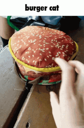 Burger King Cat Basket GIF