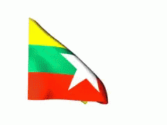 Burma Flag Waving White Background