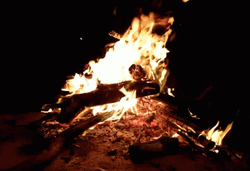 Burn Campfire Aesthetic GIF