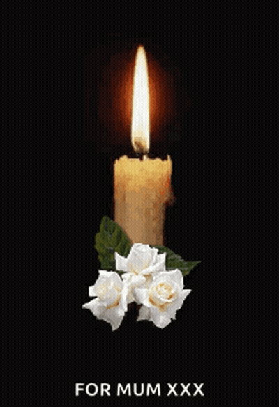 Burning Candle With White Roses For Mum Xxx GIF