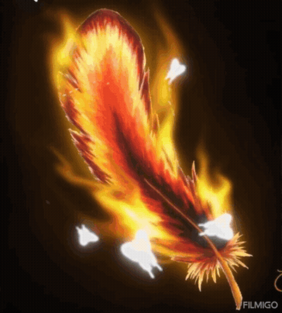 Burning Feather With Filmigo GIF