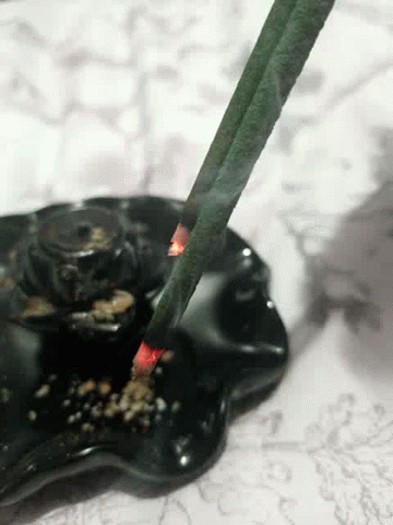 Burning Incense Stick In Holder GIF