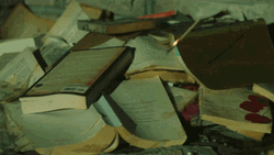 Burning Lots Of Books GIF