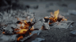 Burning Money Ashes Flames Coals GIF