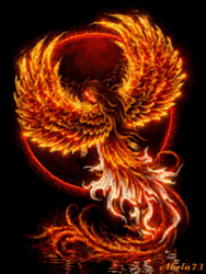 Burning Phoenix Wallpaper GIF