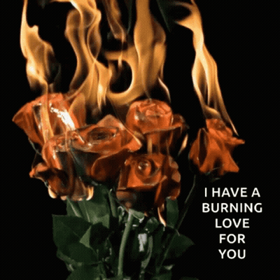 Burning Roses With I Have A Burning Love For You GIF