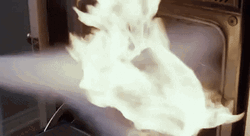 Burning Turkey Meme GIF