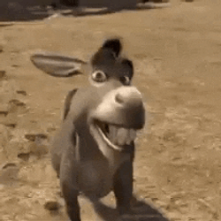Burro Do Shrek GIF