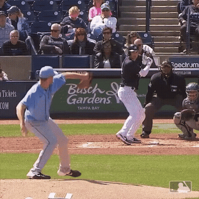 Busch Gardens Sponsors Baseball Game GIF