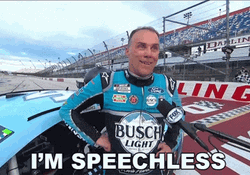 Busch Race I'm Speechless GIF