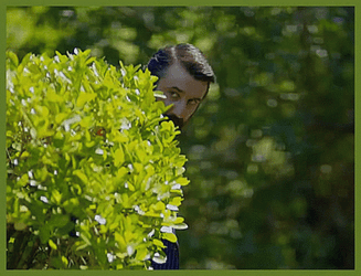 Bush Dolunay Hakan Stalk GIF