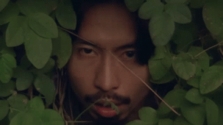 Bush Face Out In The Bushes GIF