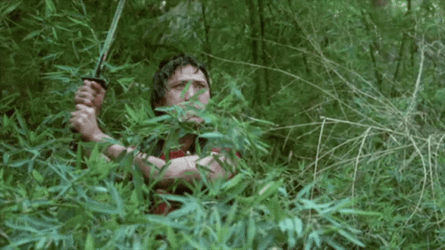 Bush Miami Connection GIF