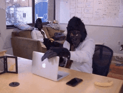 Business Ape Break Time GIF
