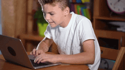 Busy Boy Using Laptop GIF