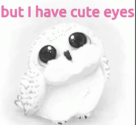 But I Have Cute Eyes Hedwig GIF