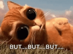 But Puppy Dog Face Puss In Boots  GIF
