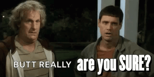 But Really Are You Sure Sure GIF