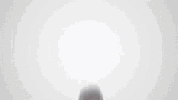 But Wait There's More Not That All GIF