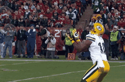 Butt Fumble Drop Failed Catch GIF