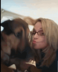 Butter Dog Lick Kisses GIF