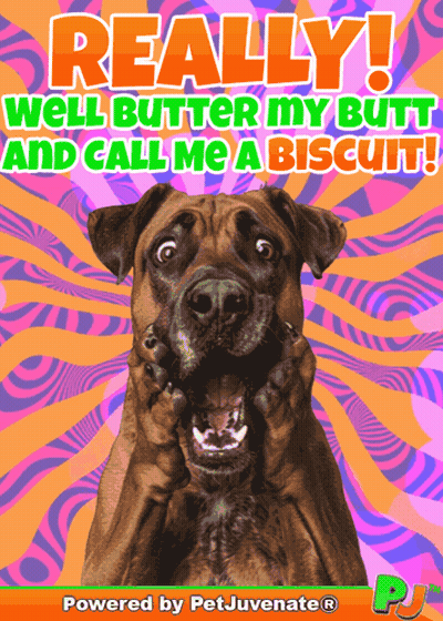 Butter My Butt Call Me Biscuit GIF