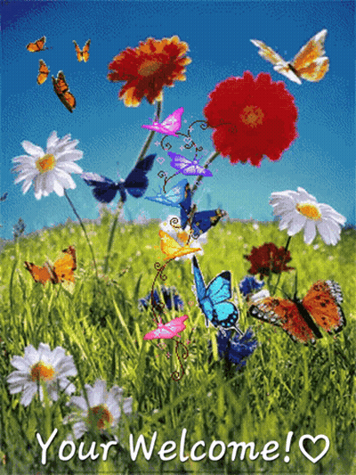 Butterflies And Flowers Saying Your Welcome GIF
