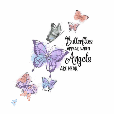Butterflies Appear When Angels Are Near Written In Black On A White Background GIF