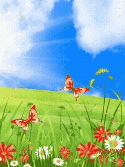 Butterflies Are Flying Over A Field Of Flowers GIF