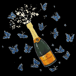 Butterflies Champagne Bottle