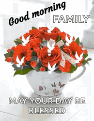 Butterflies On A Flower Blessed Monday GIF