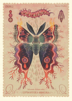 Butterflies Sketch Tuesday GIF