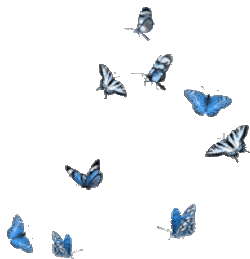 Butterflies Sticker GIF