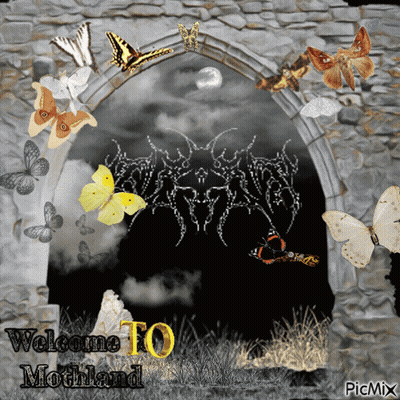 Butterflies Welcome To Mothland GIF