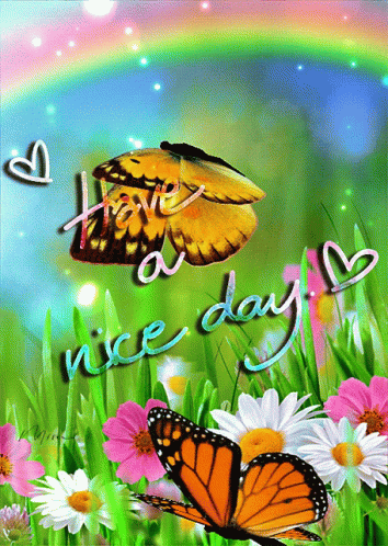 Butterflies With Text Have A Nice Day GIF