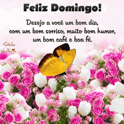 Butterfly Above Flower Feliz Domingo Artwork GIF