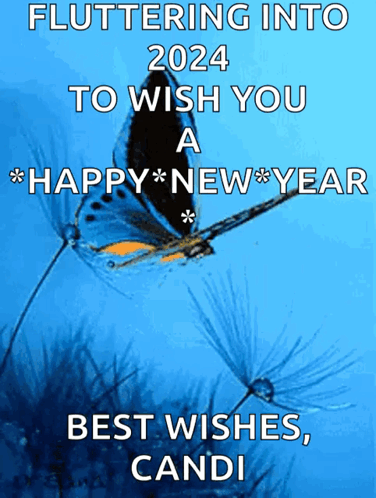 Butterfly Fluttering Into 2024 With Best Wishes GIF
