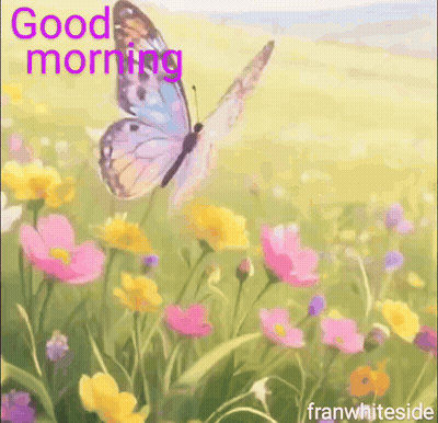 Butterfly Flying Over Field Of Flowers Good Morning GIF