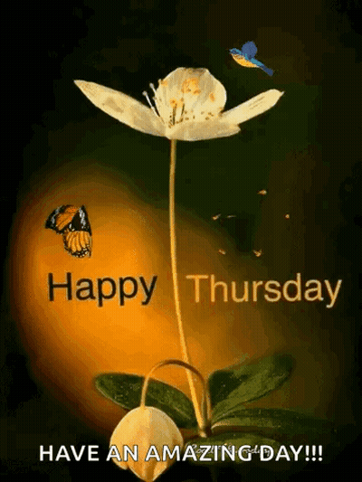 Butterfly Flying Over Flower Happy Thursday Have An Amazing Day GIF
