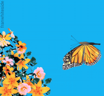 Butterfly Flying Over Flowers Saying Good Morning GIF