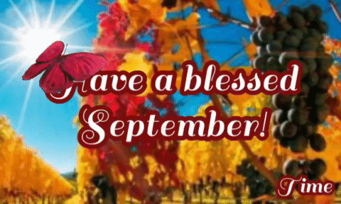 Butterfly Flying Over Grapes Have A Blessed September GIF