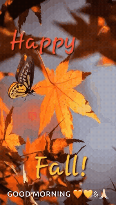Butterfly Flying Over Maple Leaf Saying Happy Fall GIF