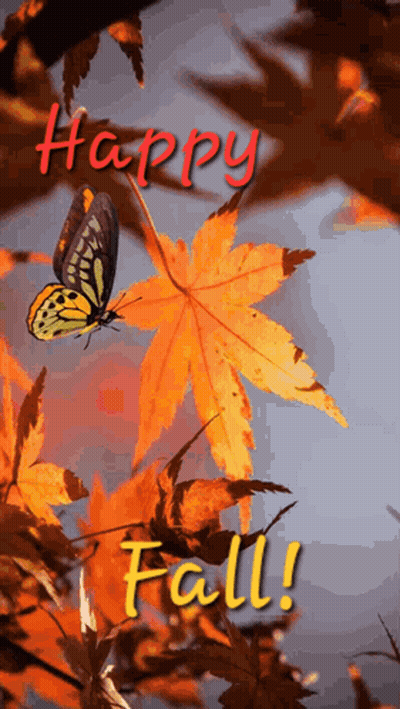 Butterfly Flying Over Maple Leaf Saying Happy Fall GIF