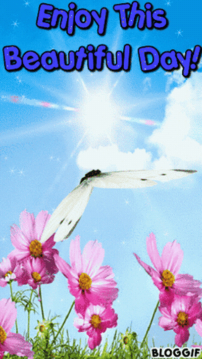 Butterfly Flying Over Pink Flowers Enjoy This Beautiful Day GIF