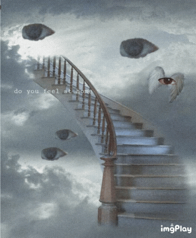 Butterfly Forever Alone GIF