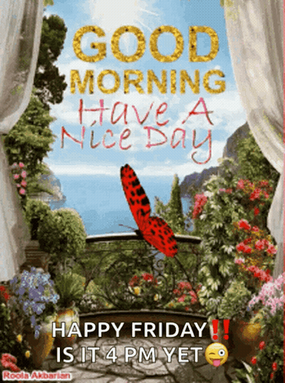 Butterfly Good Morning Have A Nice Day GIF