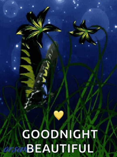 Butterfly In Grass Goodnight Beautiful GIF