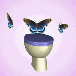 Butterfly In Toilet Bowl Wazzup GIF