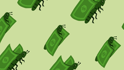 Butterfly Money Flying GIF