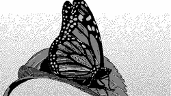 Butterfly Monochrome Pixel Art